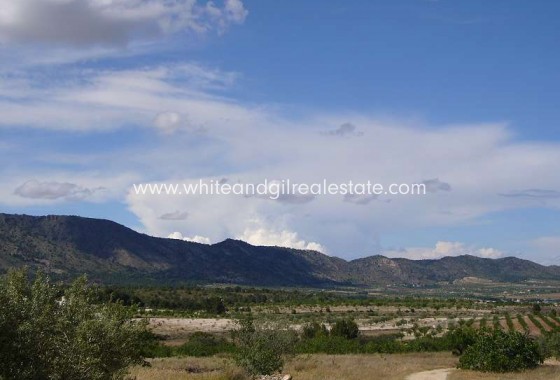 Sale - Country house  - Salinas - Rural location