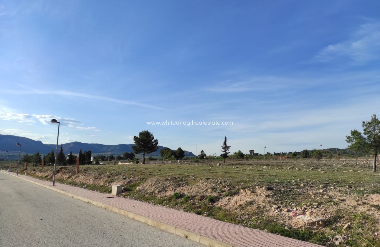 Venta - Parcela / Terreno - Salinas