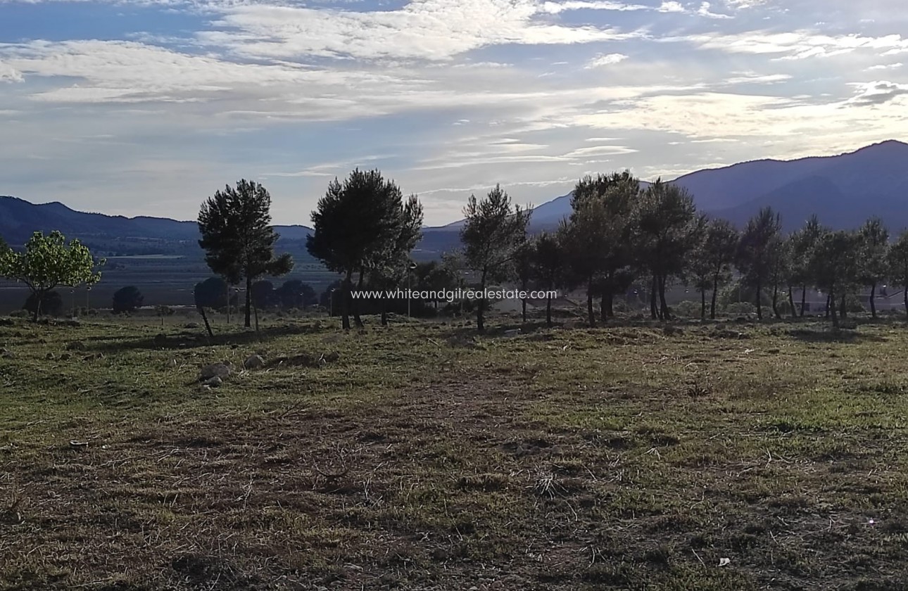 Venta - Parcela / Terreno - Salinas