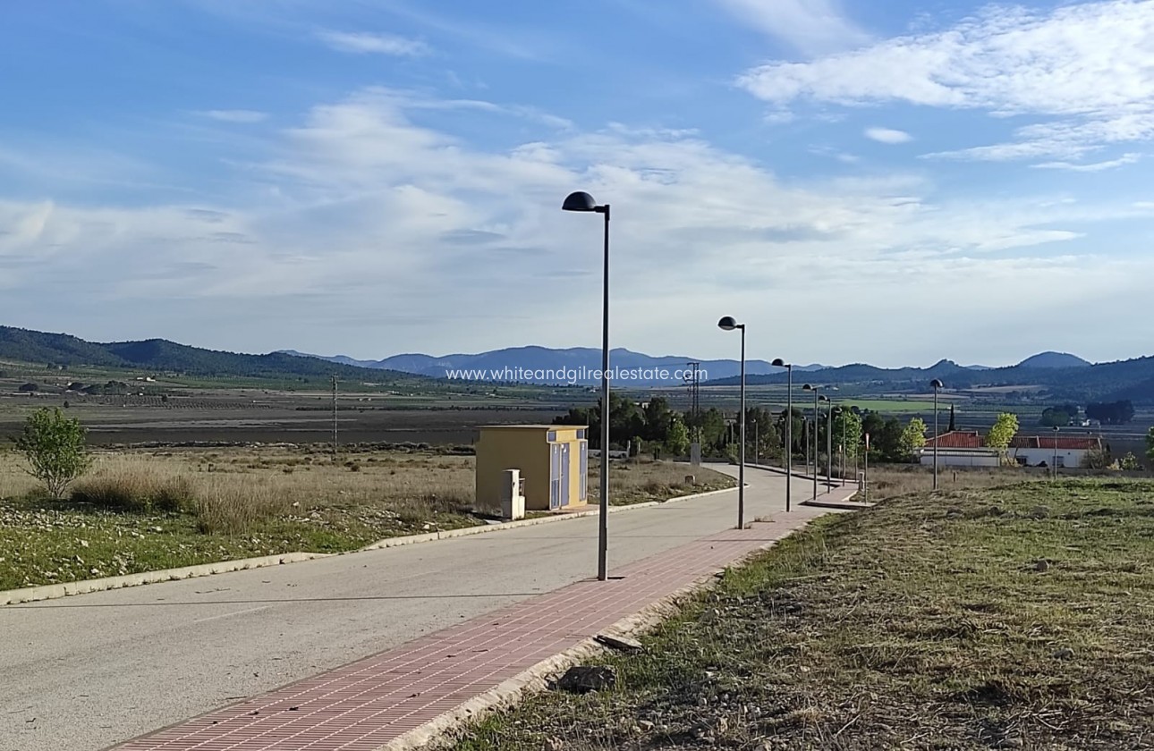 Venta - Parcela / Terreno - Salinas