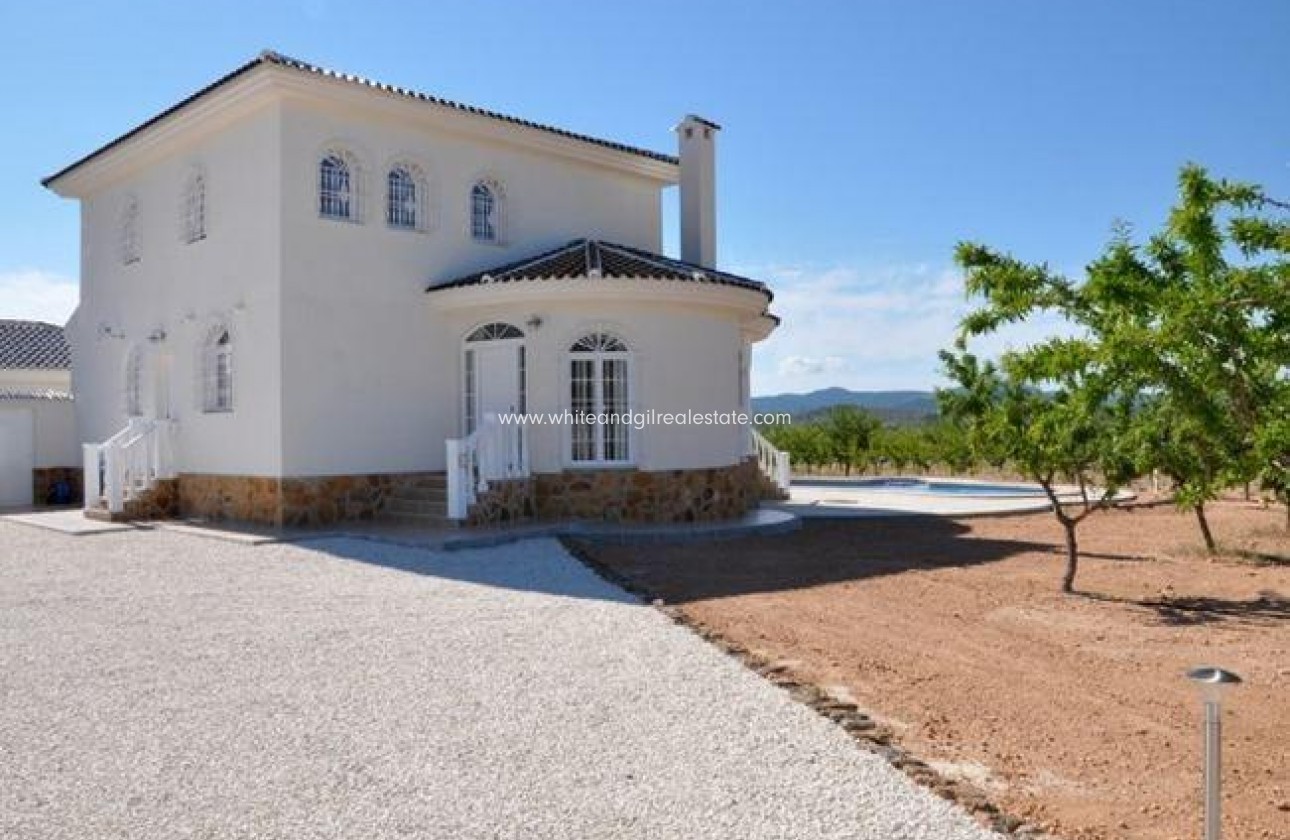 New Build - Villa  - Pinoso - Campo