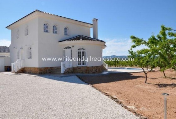 New Build - Villa  - Pinoso - Campo