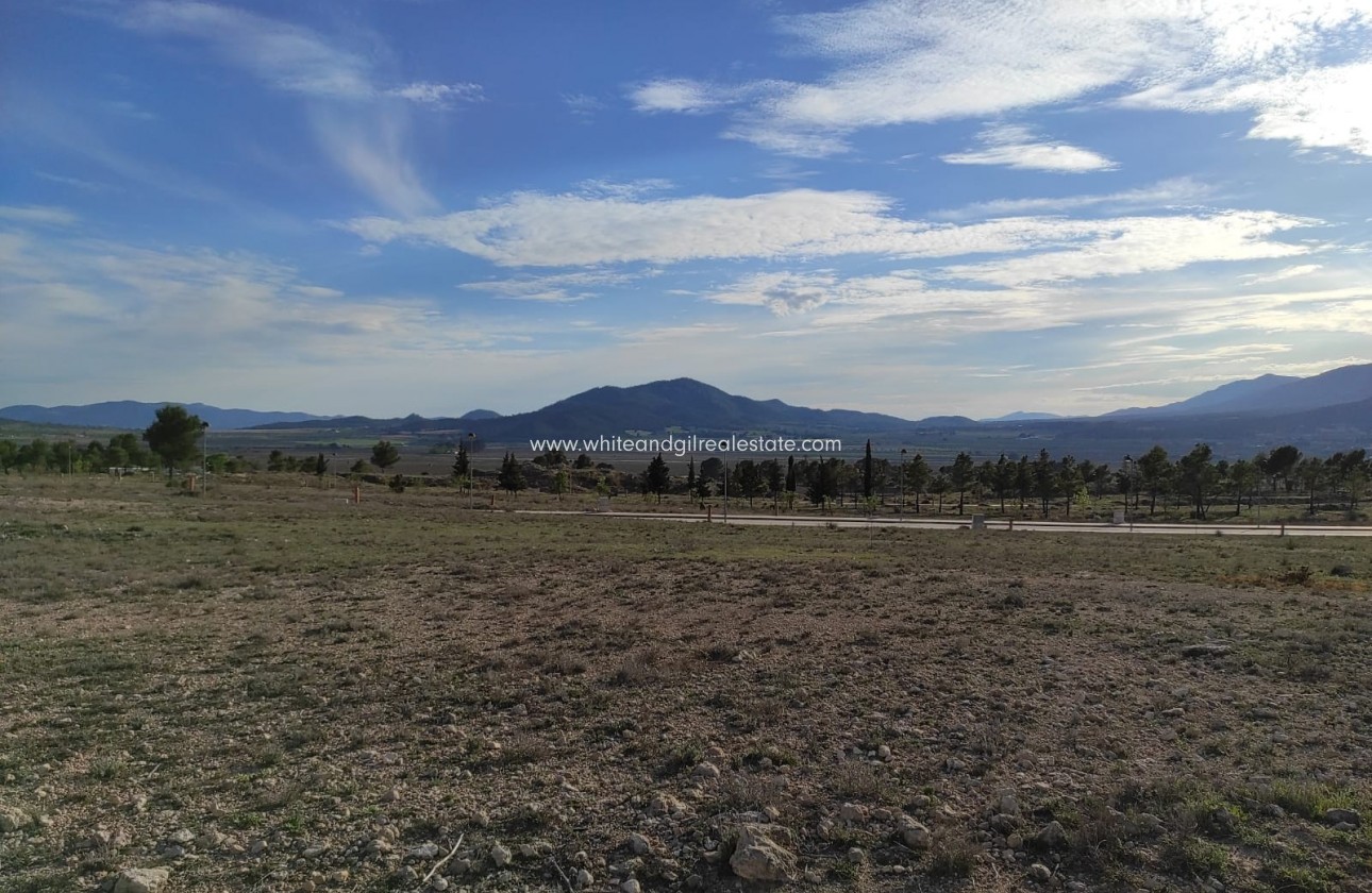 Venta - Parcela / Terreno - Salinas