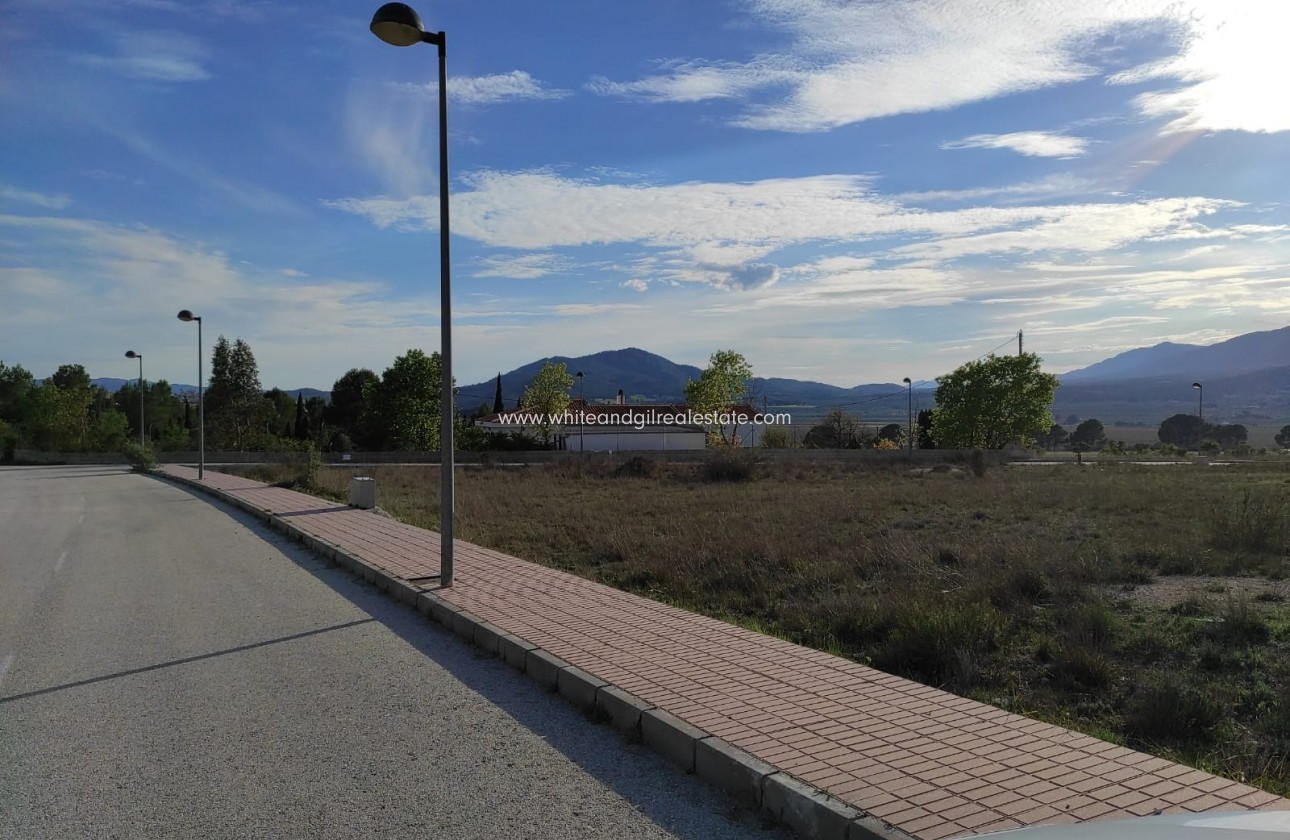 Venta - Parcela / Terreno - Salinas