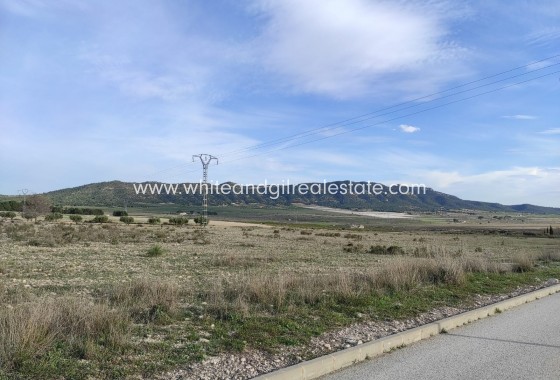 Venta - Parcela / Terreno - Salinas