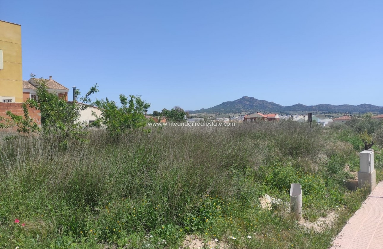 Sale - Plot / Land - Salinas