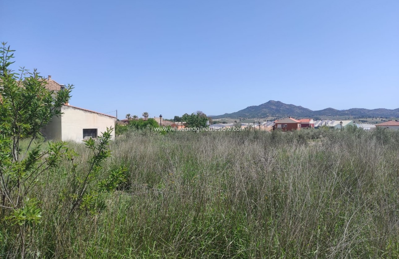 Sale - Plot / Land - Salinas