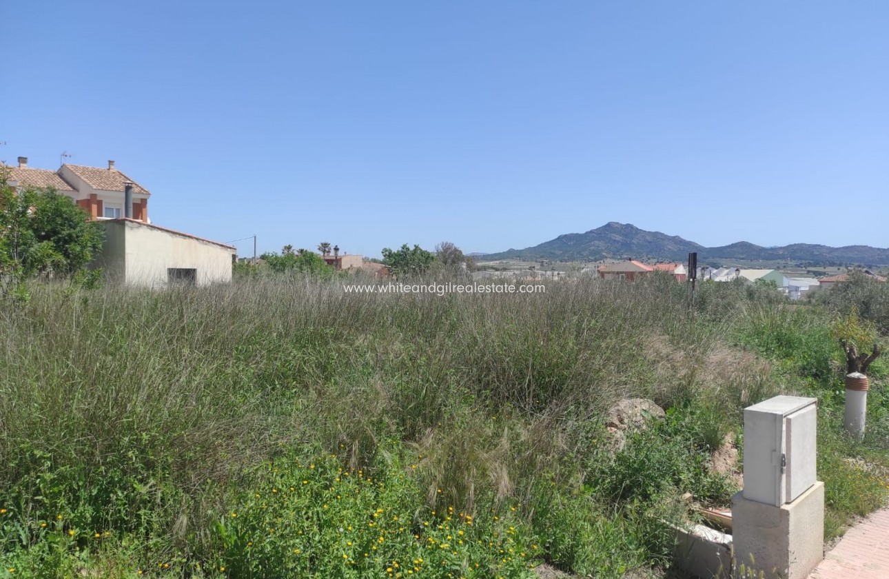 Sale - Plot / Land - Salinas