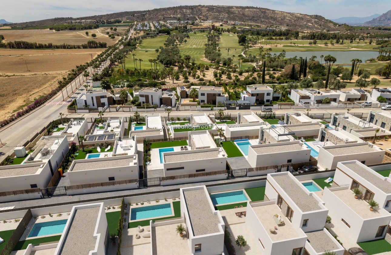 New Build - Villa  - Algorfa - La Finca Golf