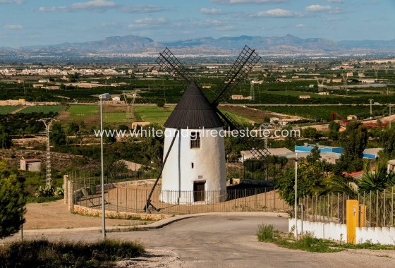 New Build - Villa  - Rojales - Doña Pena