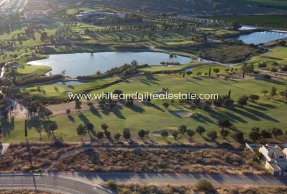 New Build - Villa  - Algorfa - La Finca Golf