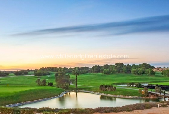 New Build - Villa  - Pilar de la Horadada - Lo Romero Golf