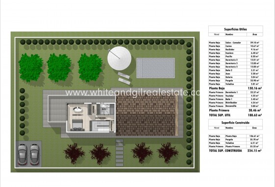 New Build - Villa  - Pinoso - Pinoso - El Pinós