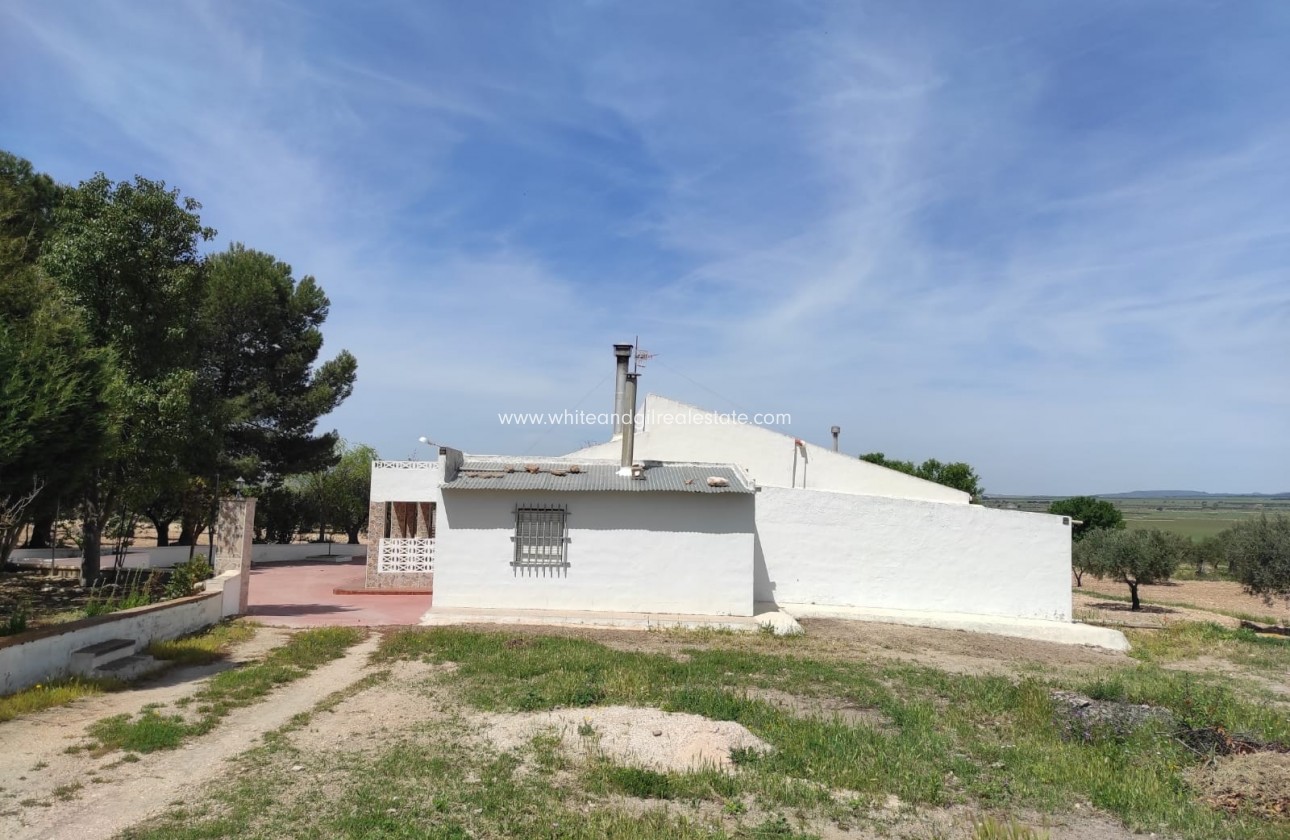 Venta - Chalet / Villa - Yecla