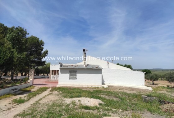 Venta - Chalet / Villa - Yecla