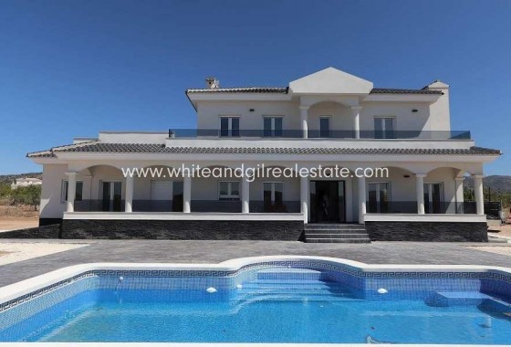 New Build - Villa  - Pinoso - Camino Del Prado