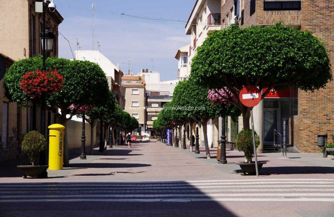 Nueva construcción  - Chalet / Villa - Torre Pacheco - Torre-pacheco