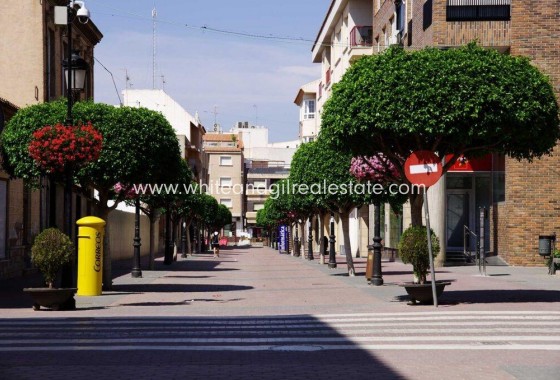 Nueva construcción  - Chalet / Villa - Torre Pacheco - Torre-pacheco