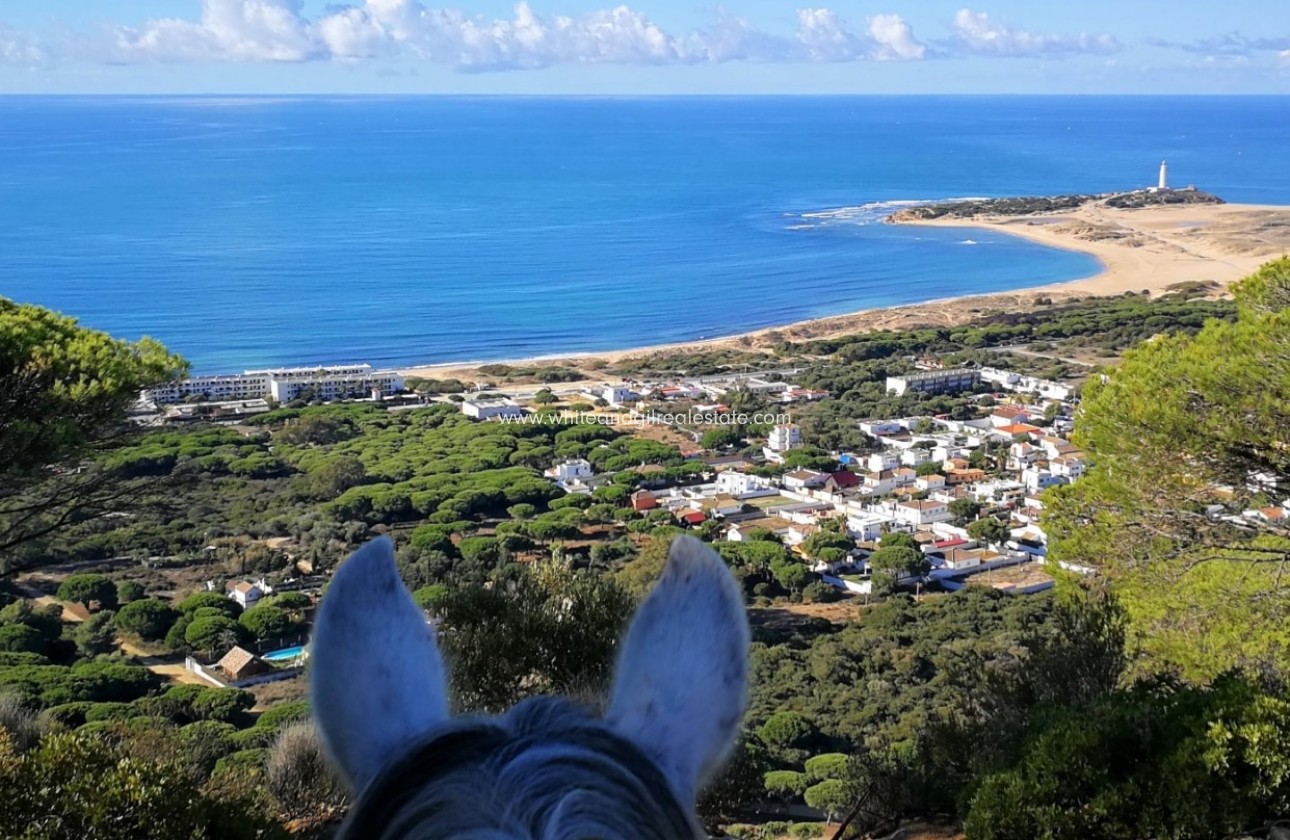 Sale - Country house  - Vejer De La Frontera - Rural Location