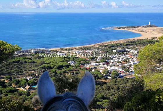 Sale - Country house  - Vejer De La Frontera - Rural Location