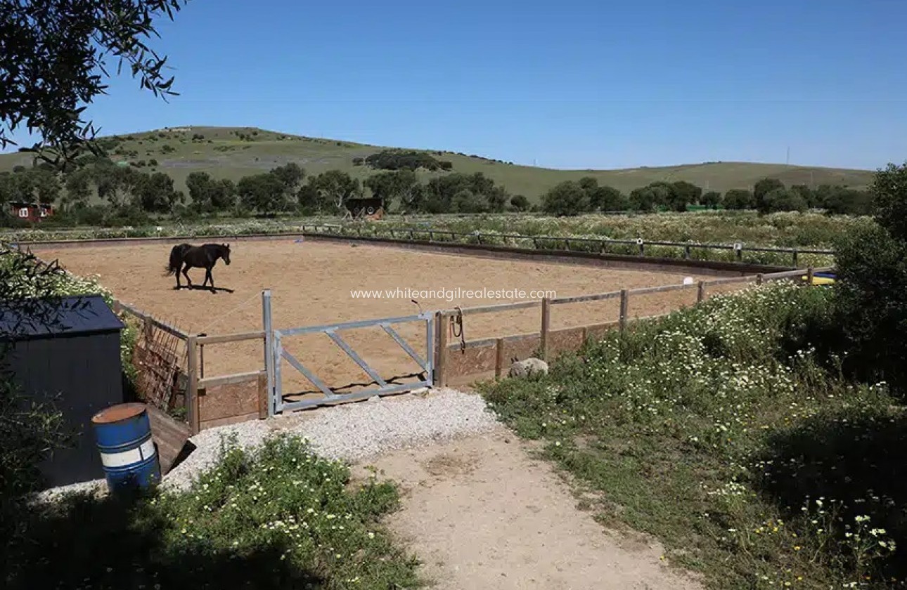 Sale - Country house  - Vejer De La Frontera - Rural Location