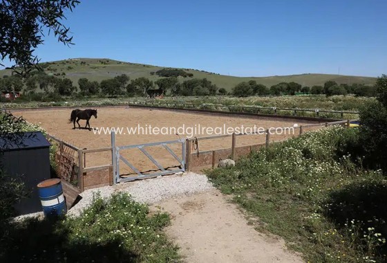 Sale - Country house  - Vejer De La Frontera - Rural Location