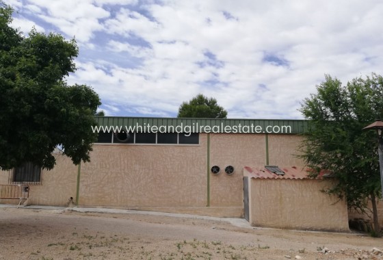 Sale - Villa  - Yecla - Rural location