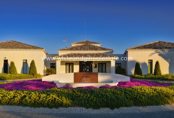 Nouvelle construction - Villa  - San Miguel de Salinas