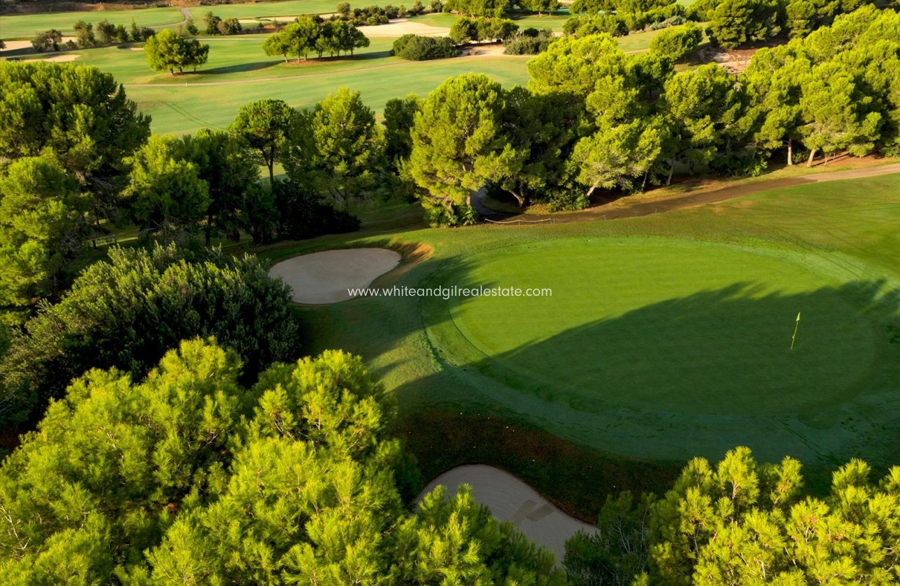 New Build - Villa  - Pilar de la Horadada - Lo Romero Golf