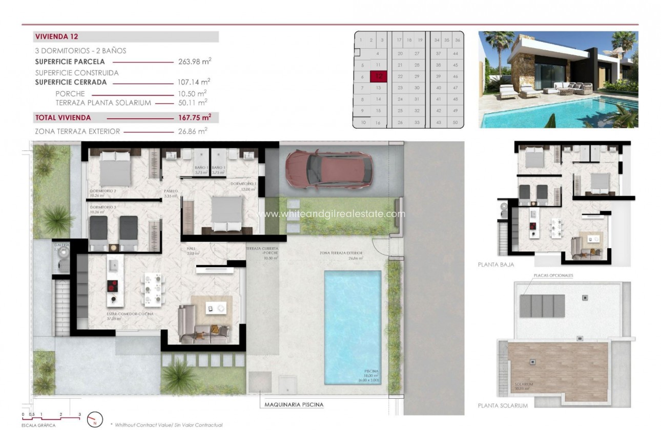 New Build - Villa  - Ciudad Quesada - Lo Marabú