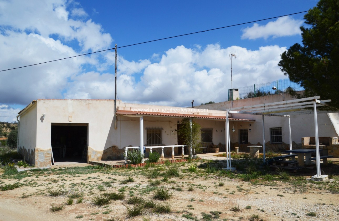 Sale - Cave House - Torre del Rico - Pinoso