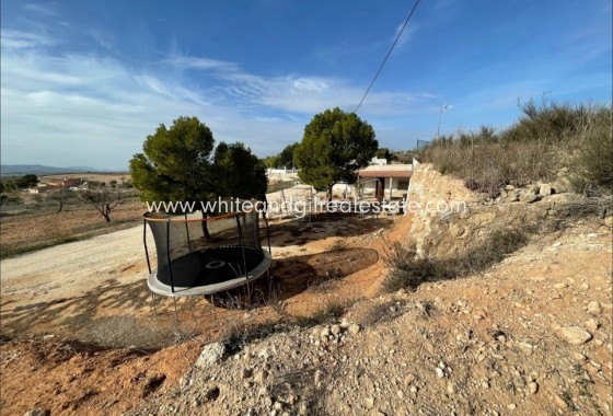 Sale - Cave House - Torre del Rico - Pinoso