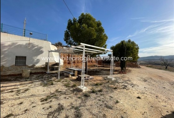 Sale - Cave House - Torre del Rico - Pinoso