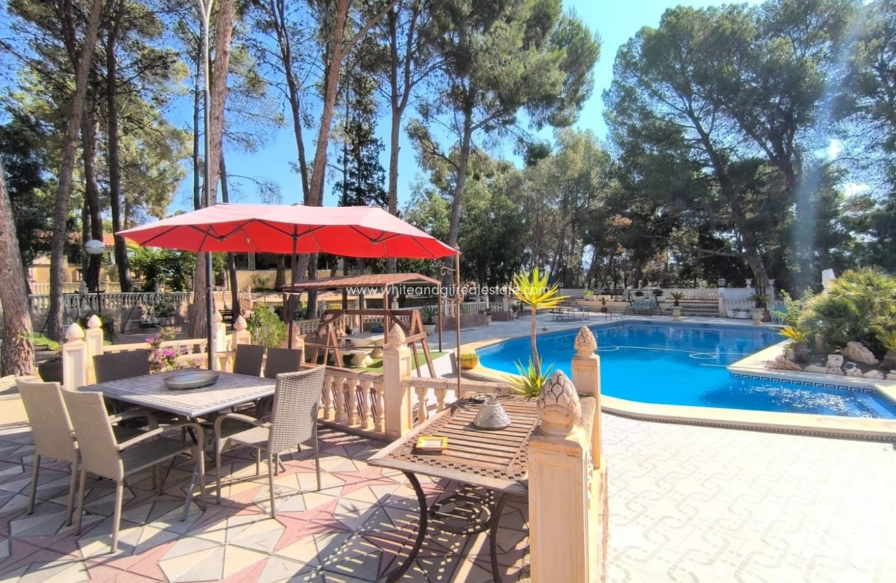 Sale - Villa  - Monovar - Edge of town