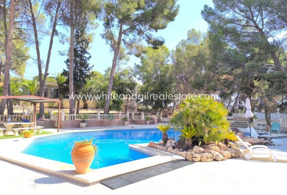 Sale - Villa  - Monovar - Edge of town