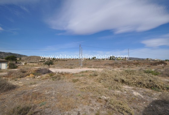 Sale - Country house  - Monovar - Rural location