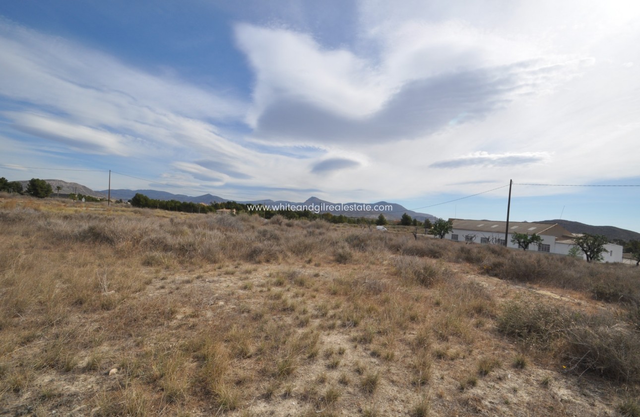 Sale - Country house  - Monovar - Rural location