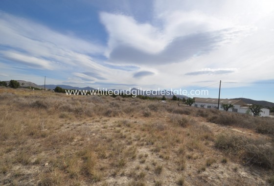 Sale - Country house  - Monovar - Rural location