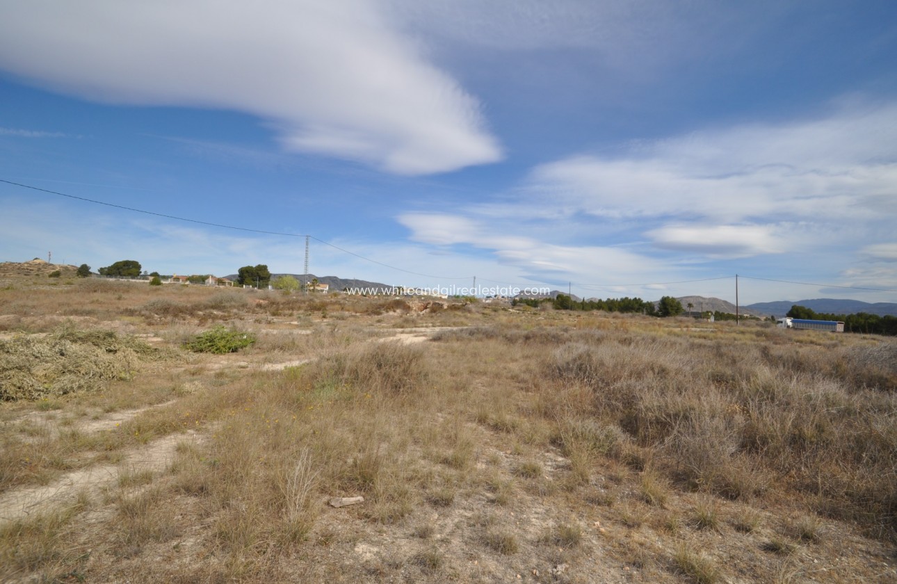 Sale - Country house  - Monovar - Rural location