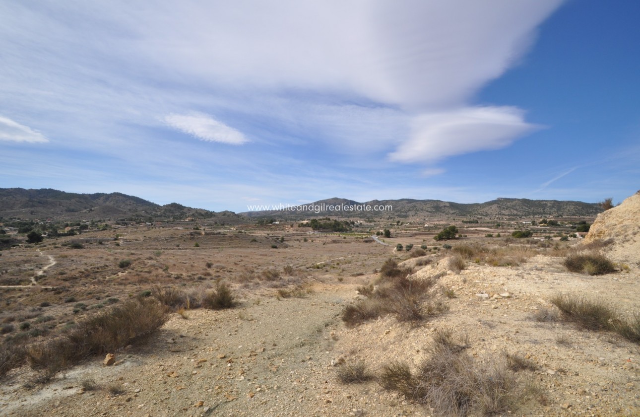 Sale - Country house  - Monovar - Rural location