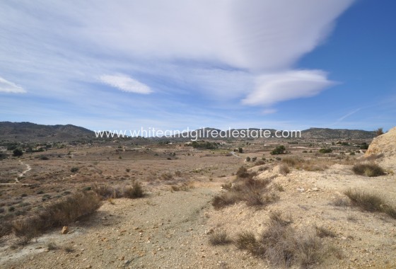 Sale - Country house  - Monovar - Rural location