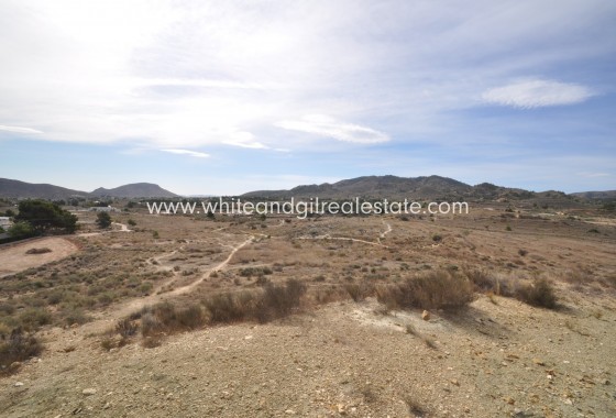 Sale - Country house  - Monovar - Rural location