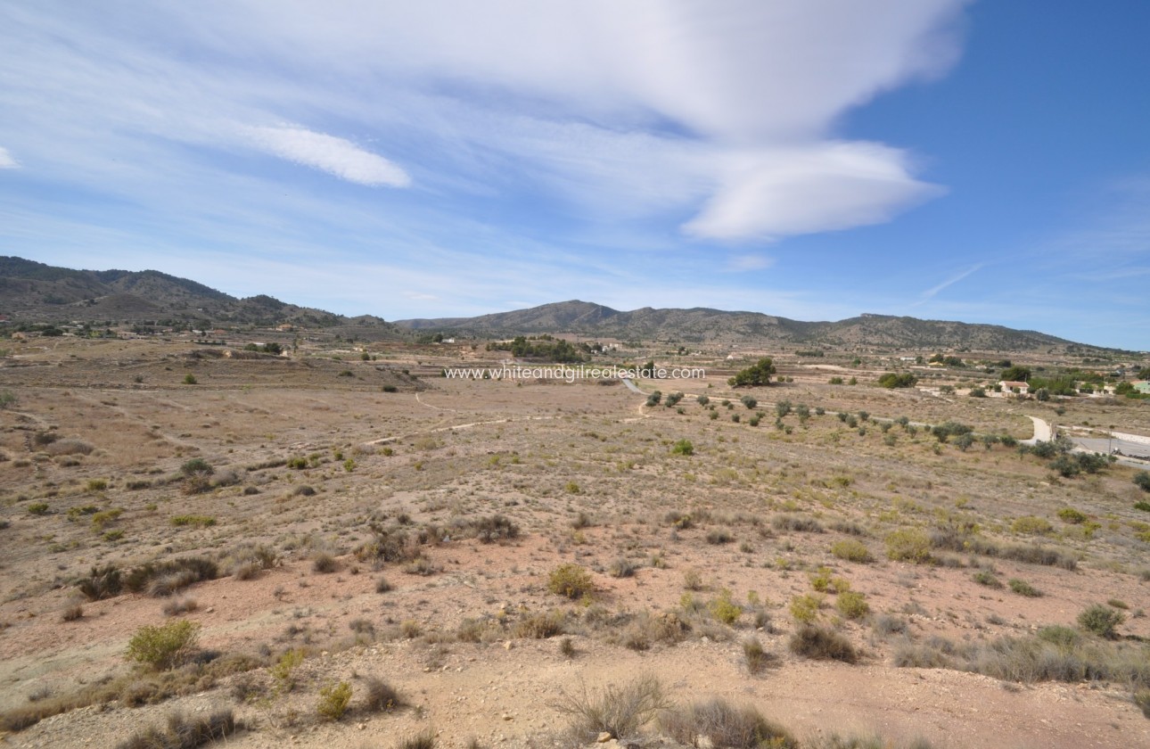 Sale - Country house  - Monovar - Rural location