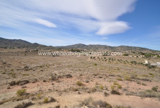 Sale - Country house  - Monovar - Rural location