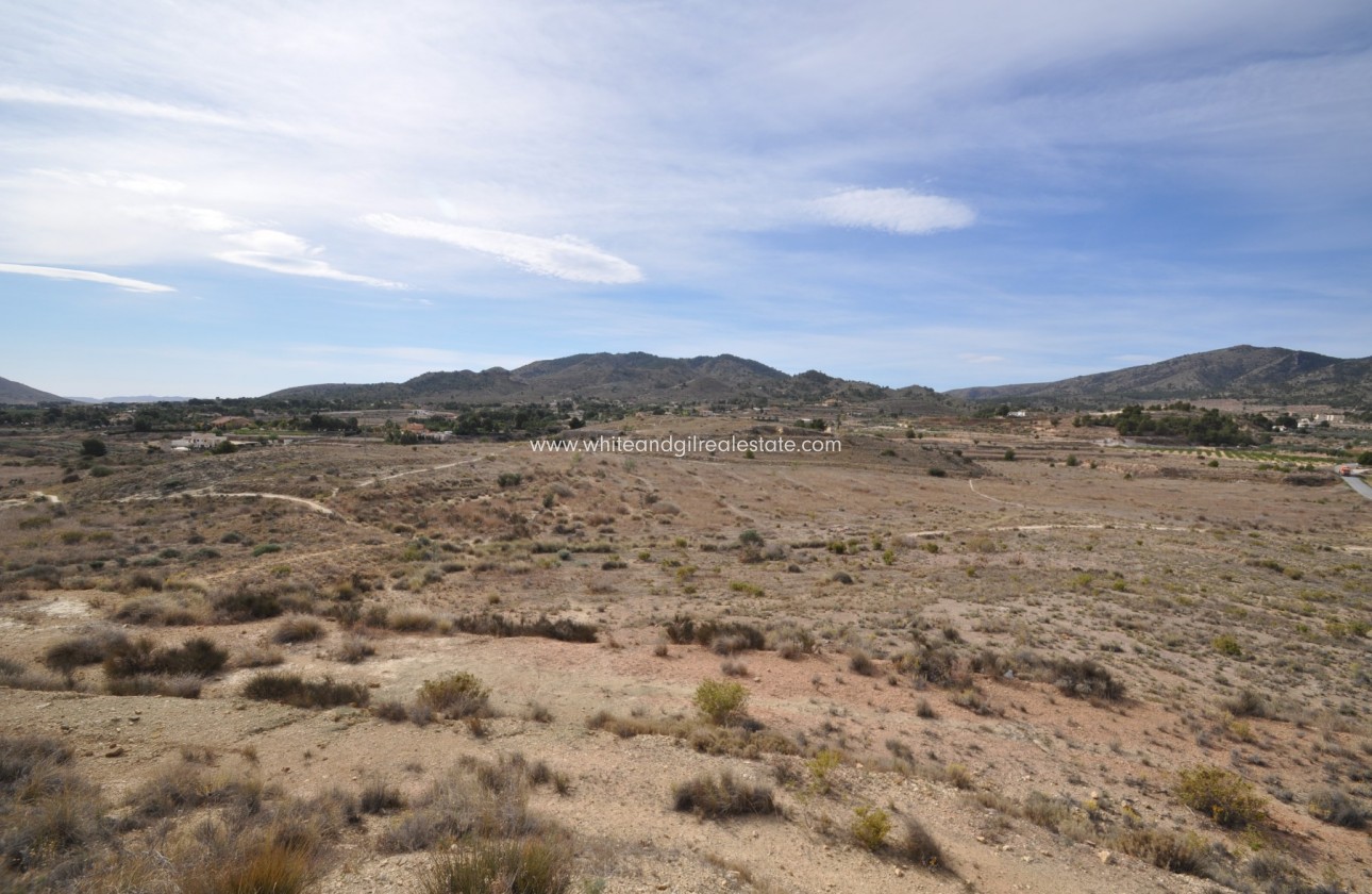 Sale - Country house  - Monovar - Rural location