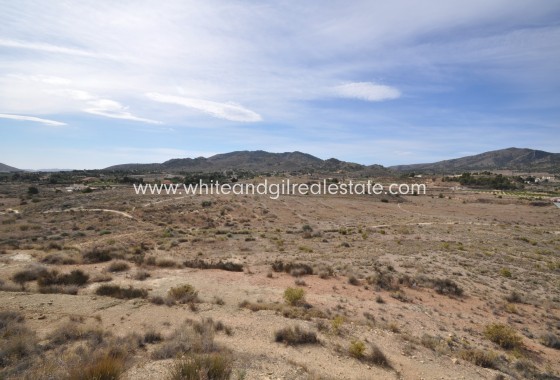 Sale - Country house  - Monovar - Rural location