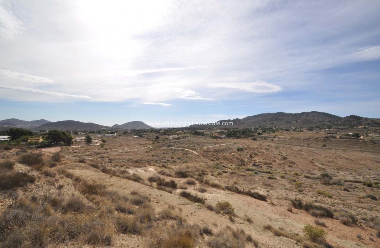 Sale - Country house  - Monovar - Rural location