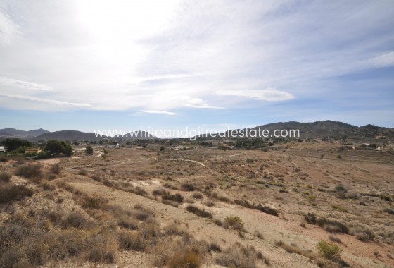 Sale - Country house  - Monovar - Rural location