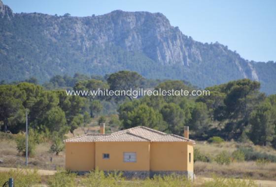 Sale - Villa  - Torre del Rico - Pinoso