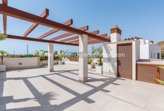 New Build - Villa  - Vera - Vera Playa